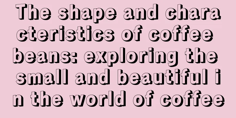 The shape and characteristics of coffee beans: exploring the small and beautiful in the world of coffee