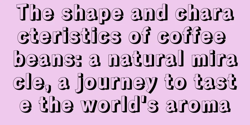 The shape and characteristics of coffee beans: a natural miracle, a journey to taste the world's aroma
