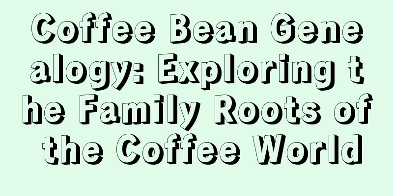 Coffee Bean Genealogy: Exploring the Family Roots of the Coffee World