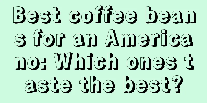 Best coffee beans for an Americano: Which ones taste the best?