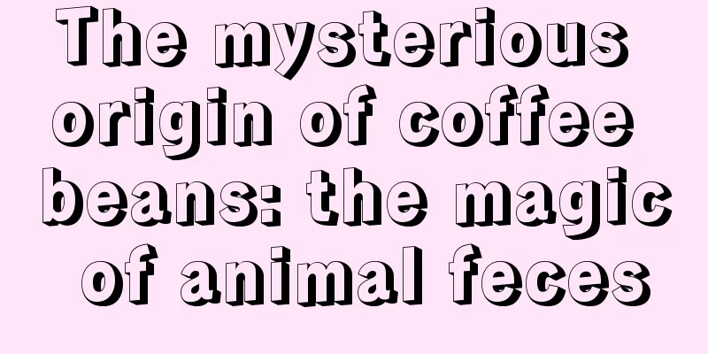 The mysterious origin of coffee beans: the magic of animal feces