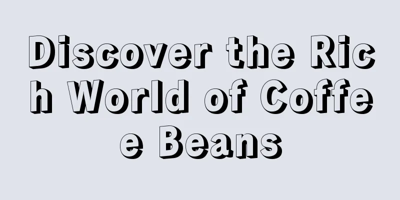 Discover the Rich World of Coffee Beans