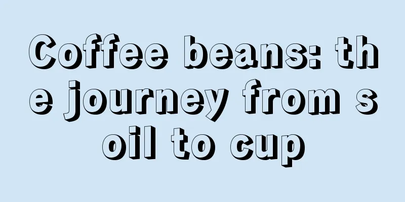 Coffee beans: the journey from soil to cup
