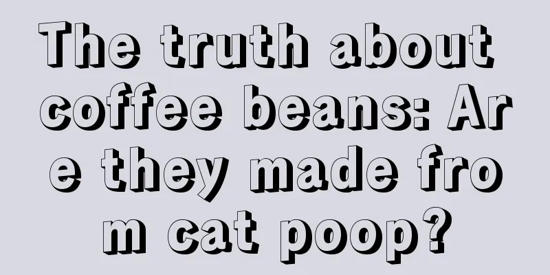 The truth about coffee beans: Are they made from cat poop?