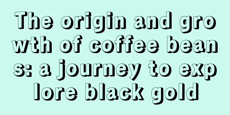 The origin and growth of coffee beans: a journey to explore black gold