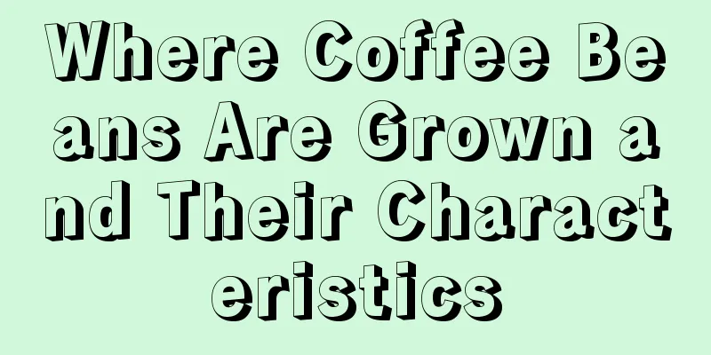 Where Coffee Beans Are Grown and Their Characteristics