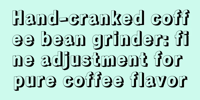Hand-cranked coffee bean grinder: fine adjustment for pure coffee flavor