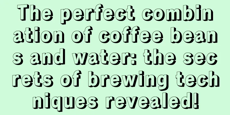 The perfect combination of coffee beans and water: the secrets of brewing techniques revealed!