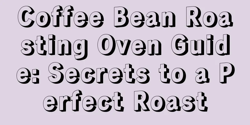 Coffee Bean Roasting Oven Guide: Secrets to a Perfect Roast