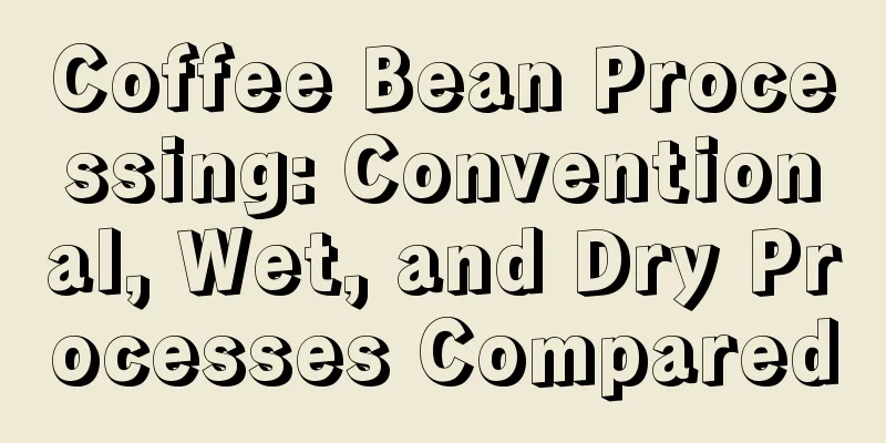 Coffee Bean Processing: Conventional, Wet, and Dry Processes Compared