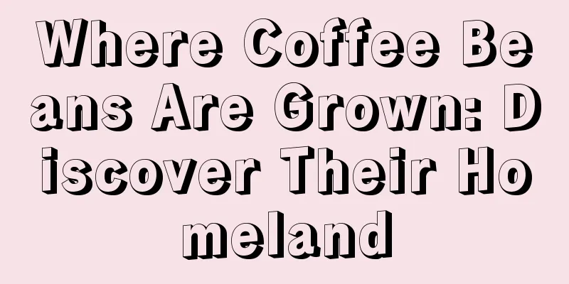 Where Coffee Beans Are Grown: Discover Their Homeland