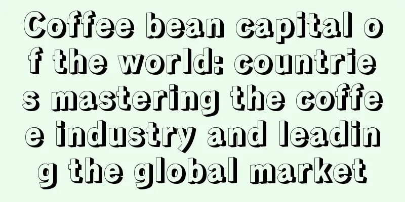 Coffee bean capital of the world: countries mastering the coffee industry and leading the global market