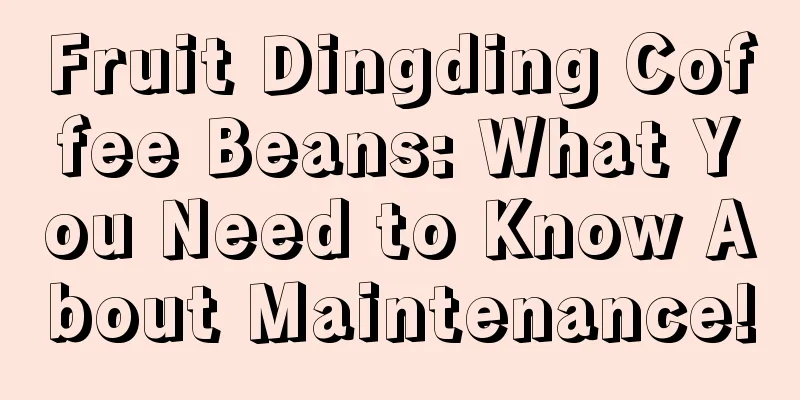 Fruit Dingding Coffee Beans: What You Need to Know About Maintenance!