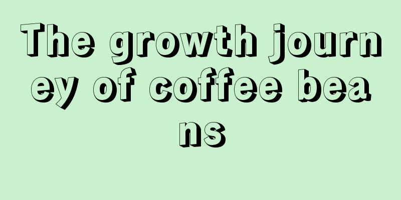 The growth journey of coffee beans