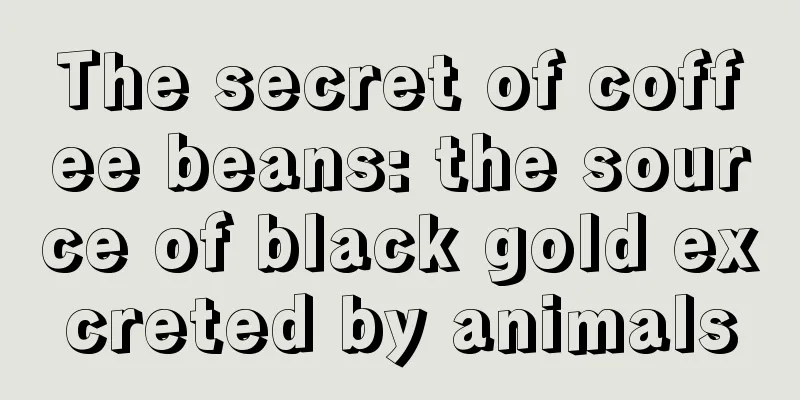 The secret of coffee beans: the source of black gold excreted by animals