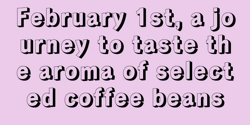 February 1st, a journey to taste the aroma of selected coffee beans