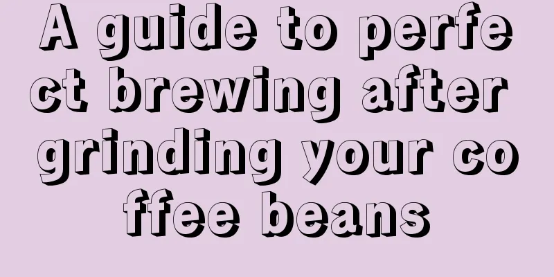 A guide to perfect brewing after grinding your coffee beans