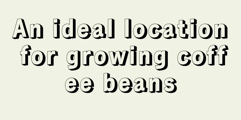 An ideal location for growing coffee beans