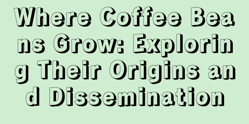 Where Coffee Beans Grow: Exploring Their Origins and Dissemination