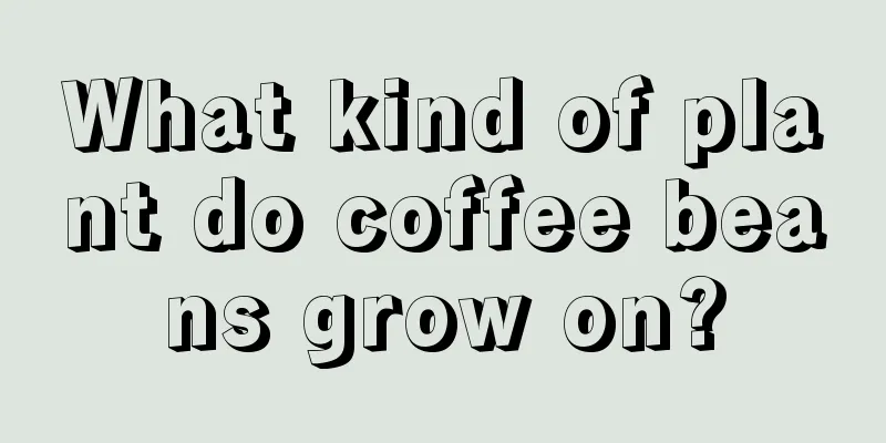 What kind of plant do coffee beans grow on?