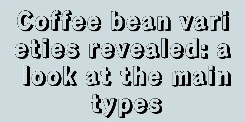 Coffee bean varieties revealed: a look at the main types