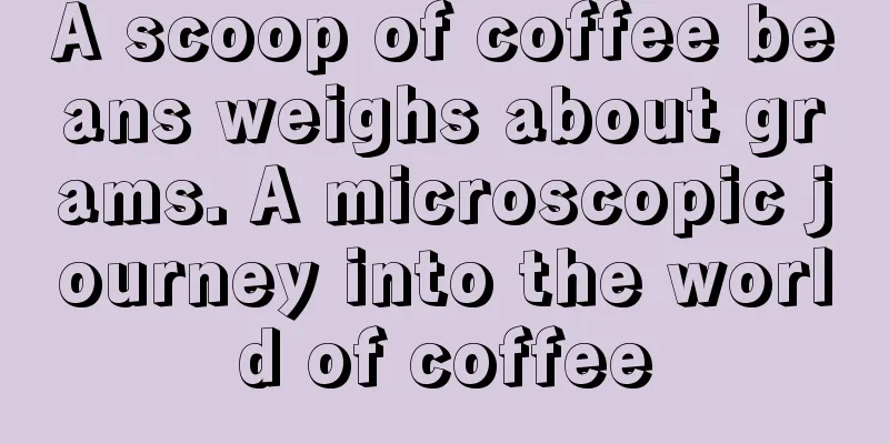A scoop of coffee beans weighs about grams. A microscopic journey into the world of coffee