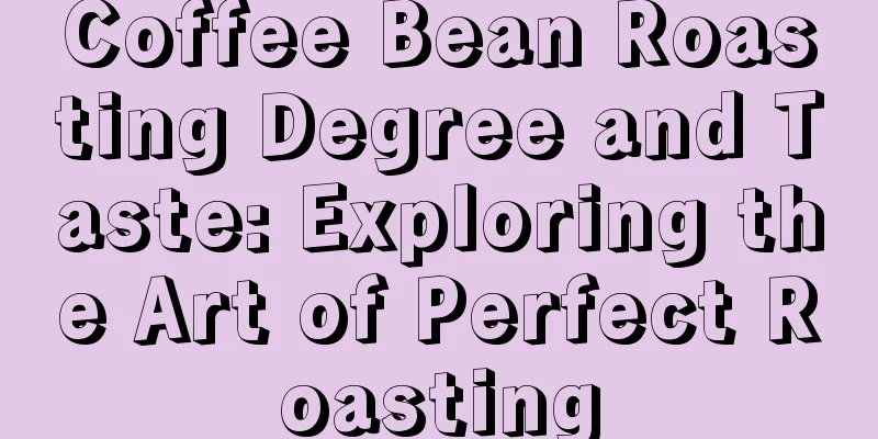 Coffee Bean Roasting Degree and Taste: Exploring the Art of Perfect Roasting
