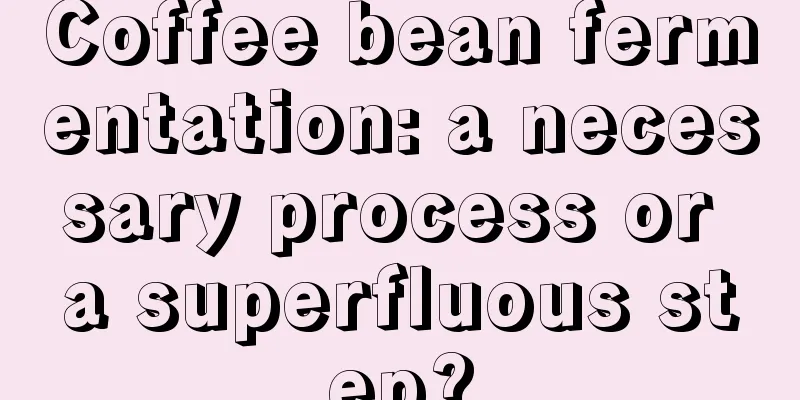 Coffee bean fermentation: a necessary process or a superfluous step?