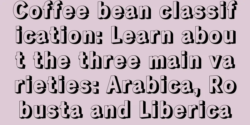 Coffee bean classification: Learn about the three main varieties: Arabica, Robusta and Liberica