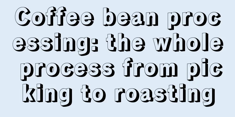 Coffee bean processing: the whole process from picking to roasting