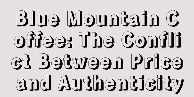 Blue Mountain Coffee: The Conflict Between Price and Authenticity