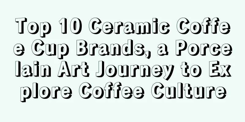 Top 10 Ceramic Coffee Cup Brands, a Porcelain Art Journey to Explore Coffee Culture