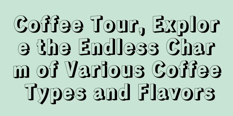 Coffee Tour, Explore the Endless Charm of Various Coffee Types and Flavors