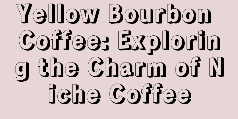 Yellow Bourbon Coffee: Exploring the Charm of Niche Coffee