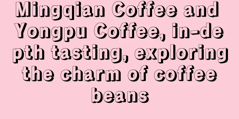 Mingqian Coffee and Yongpu Coffee, in-depth tasting, exploring the charm of coffee beans