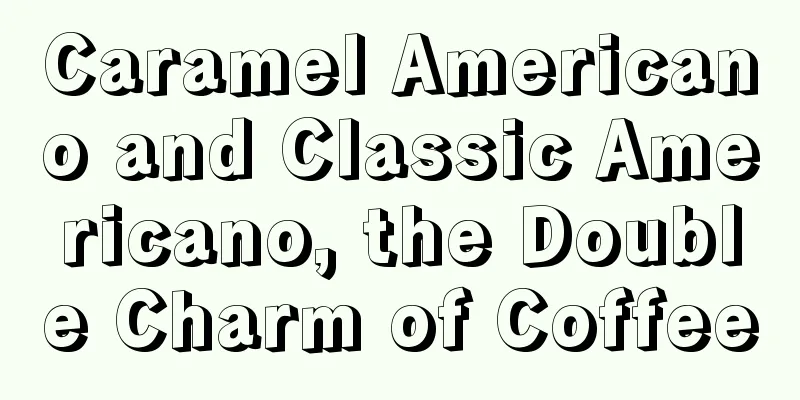 Caramel Americano and Classic Americano, the Double Charm of Coffee