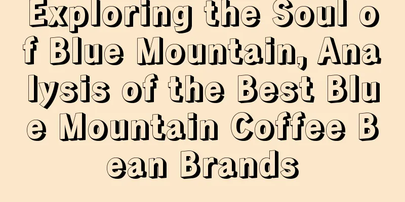 Exploring the Soul of Blue Mountain, Analysis of the Best Blue Mountain Coffee Bean Brands