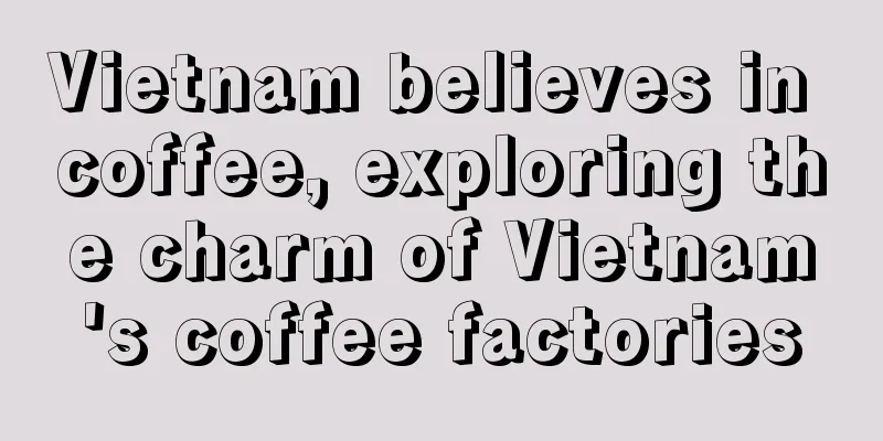 Vietnam believes in coffee, exploring the charm of Vietnam's coffee factories