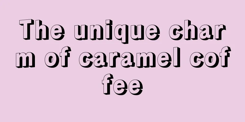 The unique charm of caramel coffee