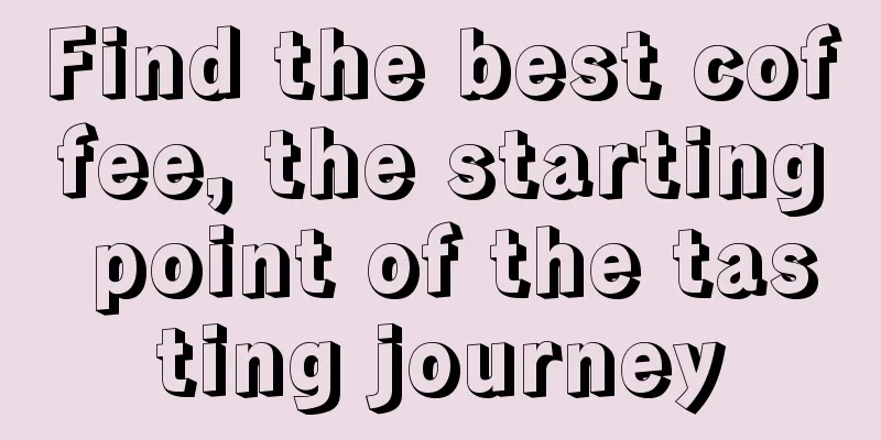 Find the best coffee, the starting point of the tasting journey