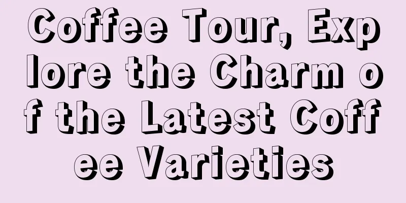 Coffee Tour, Explore the Charm of the Latest Coffee Varieties