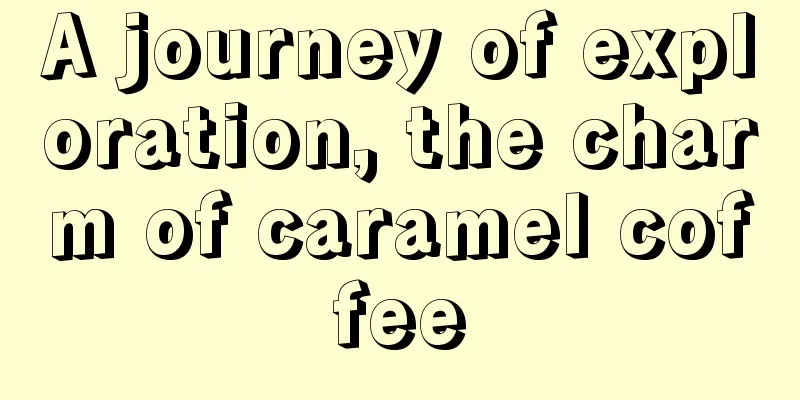 A journey of exploration, the charm of caramel coffee