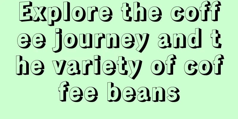 Explore the coffee journey and the variety of coffee beans