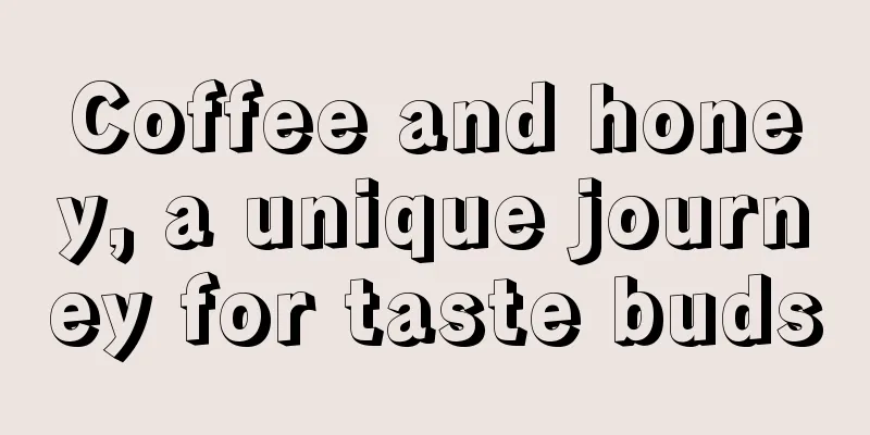 Coffee and honey, a unique journey for taste buds
