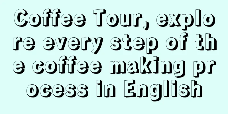 Coffee Tour, explore every step of the coffee making process in English