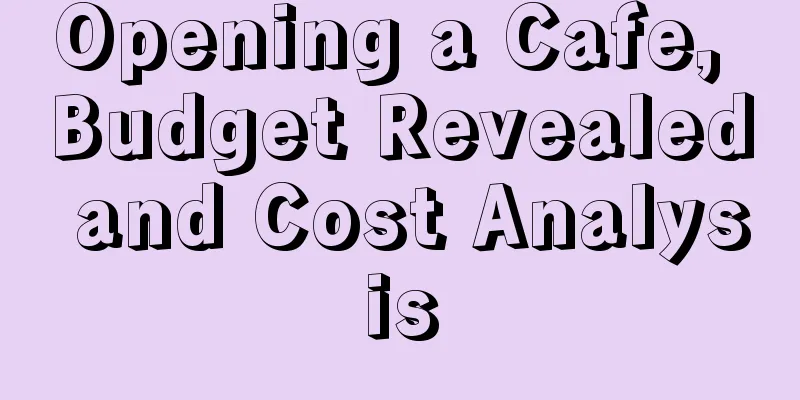 Opening a Cafe, Budget Revealed and Cost Analysis