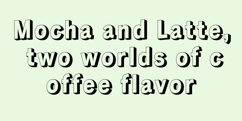 Mocha and Latte, two worlds of coffee flavor