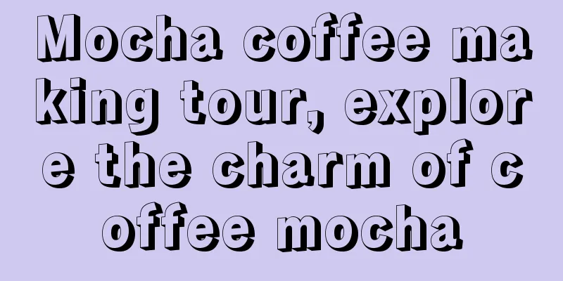 Mocha coffee making tour, explore the charm of coffee mocha