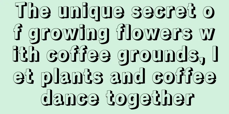 The unique secret of growing flowers with coffee grounds, let plants and coffee dance together