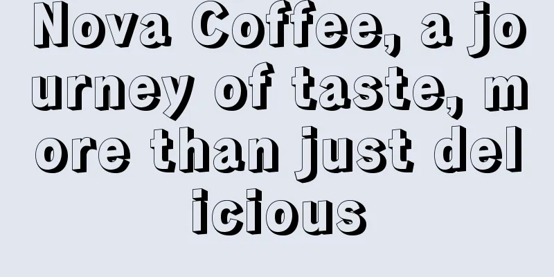 Nova Coffee, a journey of taste, more than just delicious